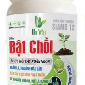 Bật Chồi